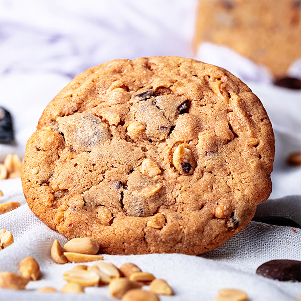 Peanut Butter & Chocolate Cookie